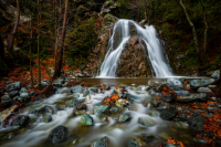 Mehmet Gökyiğit - Twin Flow - Nature Category 3rd