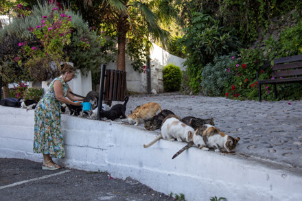 ERKAN ÇELİKERİ - KARMİ