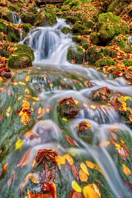 MEHMET GÖKYİĞİT - HEALER