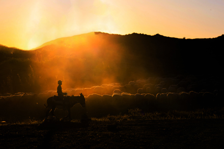 ŞAZİYE KOFALI KURT - GÜN BATARKEN
