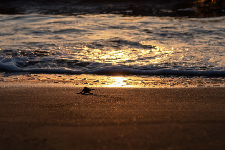 TEVFİK ULUAL - KAVUŞMA