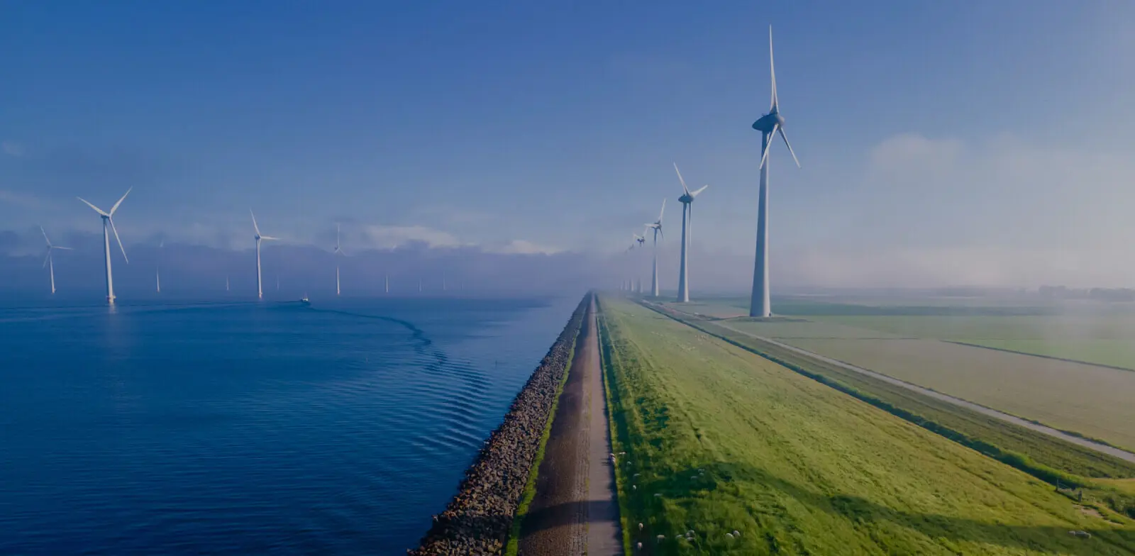 GlobalizationInstitutionalization SustainableHigh Growth