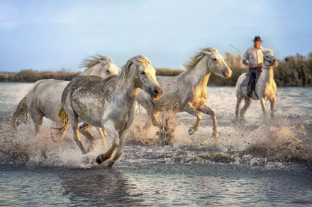 AYLA MERTTÜRK - GALOP